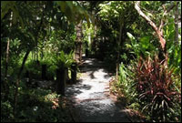 Aana Resort & Spa, Koh Chang - Land Scape