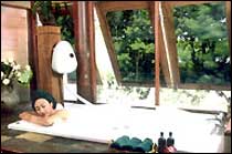 Banpu Resort Trat - Spa