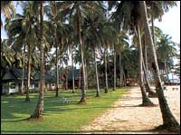 Chang Park Resort and Spa