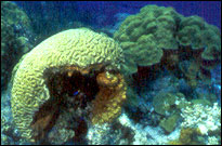 Koh Chang Resort & Spa - Activity