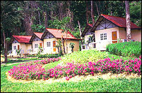 Koh Chang Resort & Spa - Superior Hillside