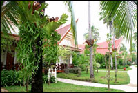 Deluxe Room - Exterior